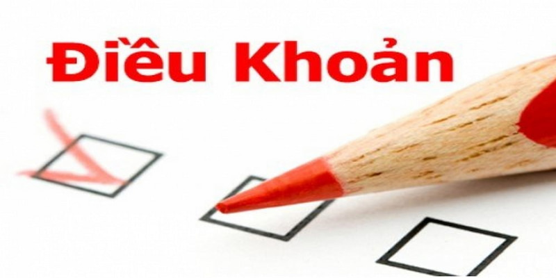 Ảnh minh họa: Đôi nét điều khoản luck8 cho hội viên