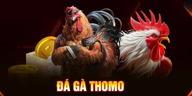 Ảnh minh họa: Đá gà thomo cực hấp dẫn tại nhà cái Luck8